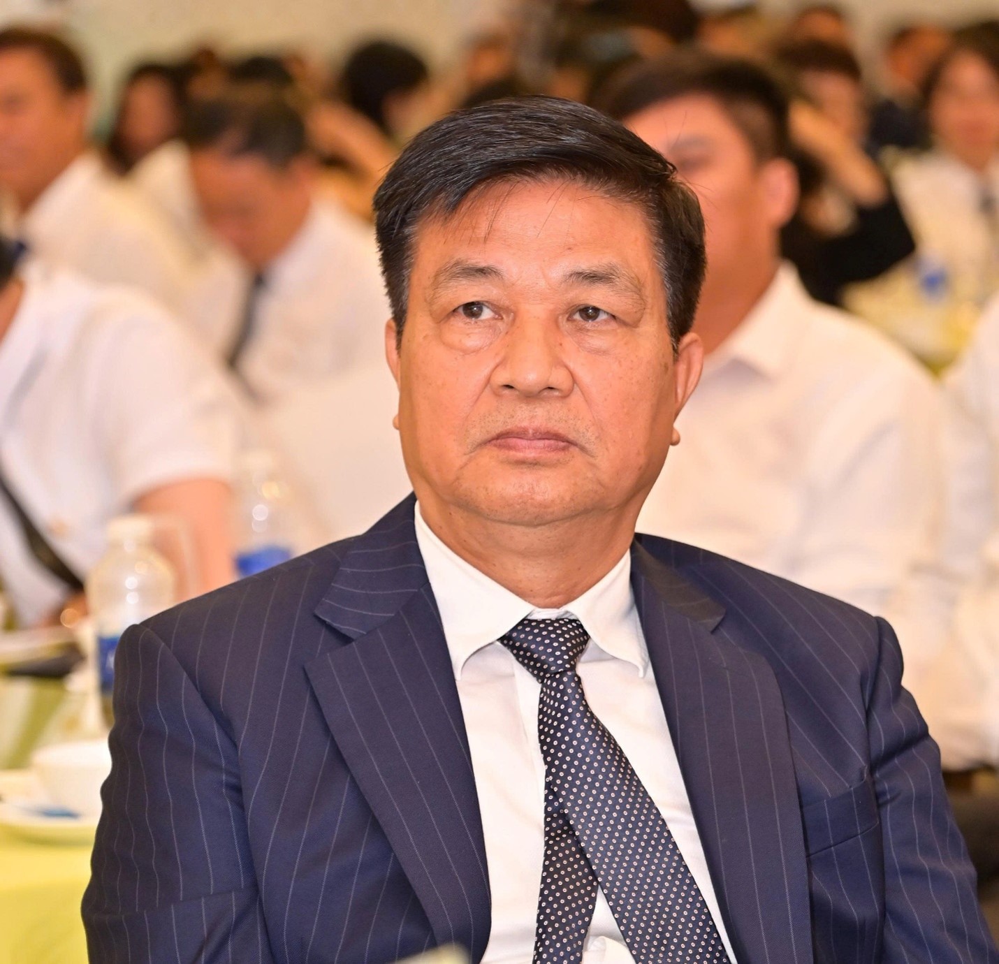 TS.LS Đỗ Ngọc Thịnh, Chủ tịch Liên đoàn Luật sư Việt Nam dự Lễ mít tinh